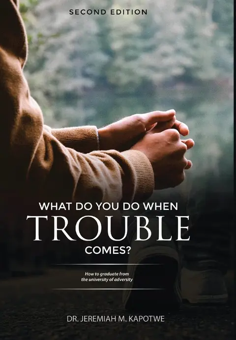 Cover of What Do You Do When Trouble Comes?