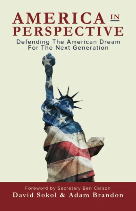 Cover of America in Perspective