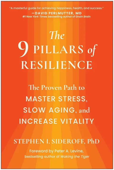 Cover of The 9 Pillars of Resilience