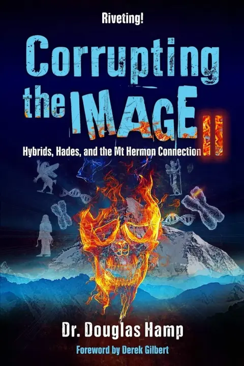 Cover of Corrupting the Image 2