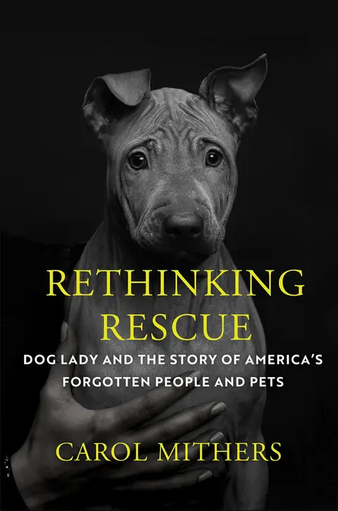 Cover of Rethinking Rescue