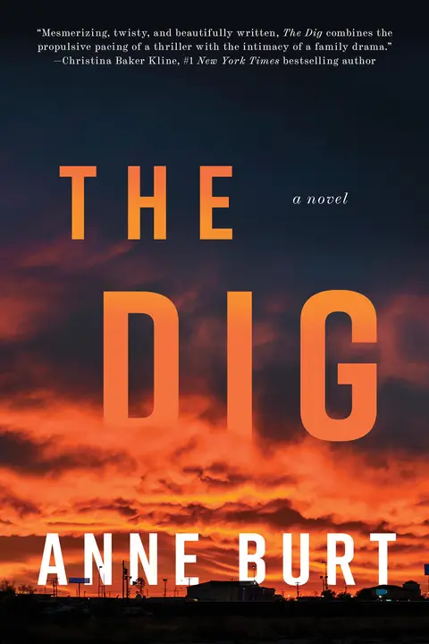 Cover of The Dig