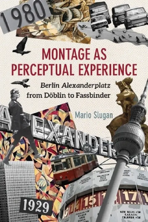 Cover of Montage as Perceptual Experience