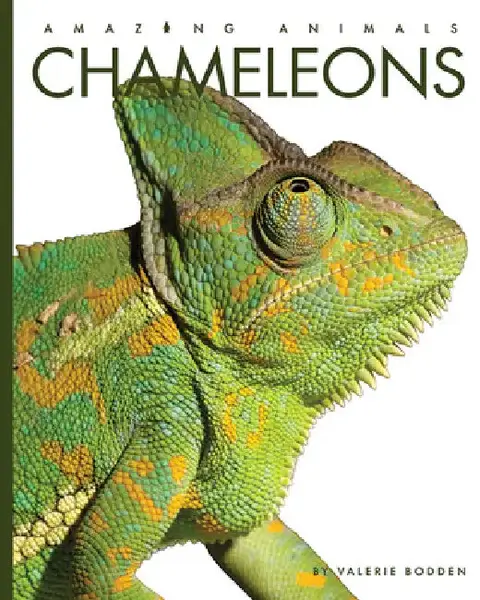 Cover of Chameleons
