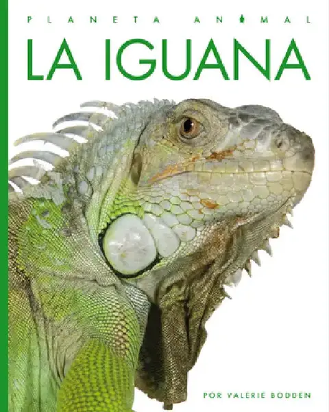 Cover of La Iguana