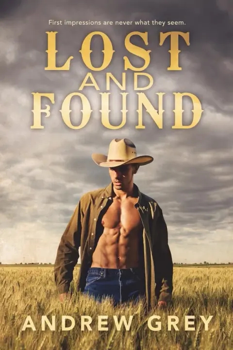 Cover of Lost and Found
