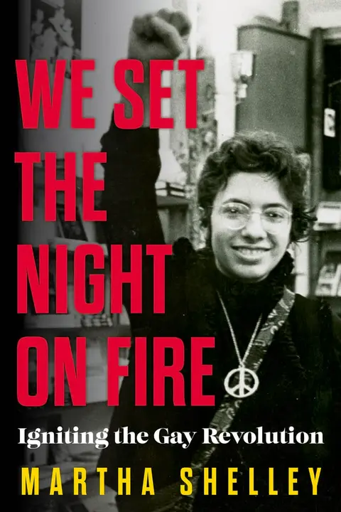 Cover of We Set the Night on Fire