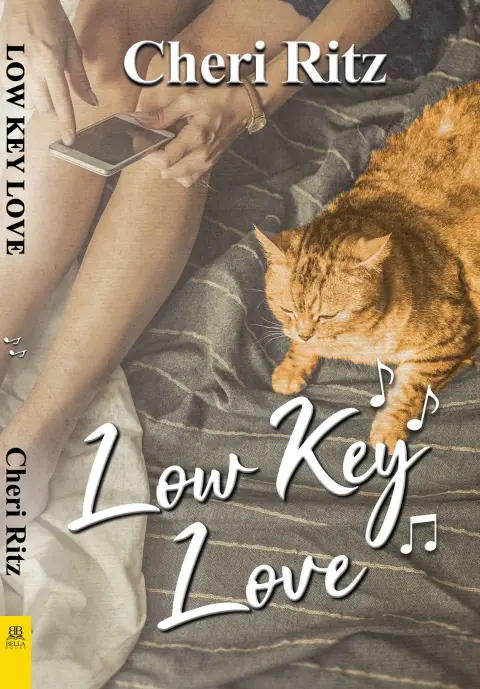 Cover of Low Key Love