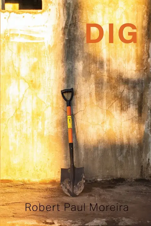 Cover of Dig