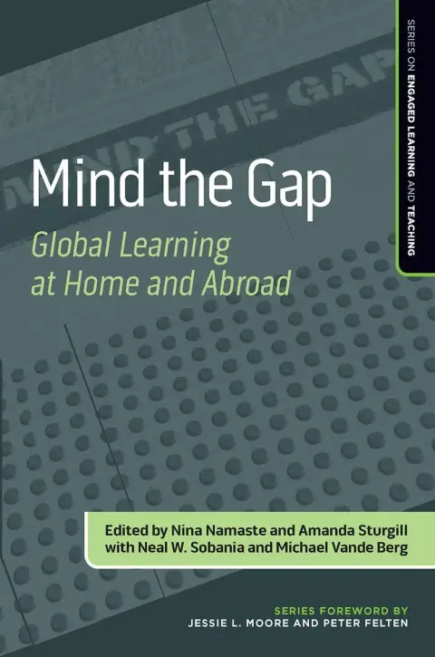 Cover of Mind the Gap