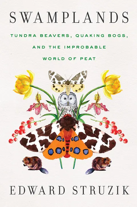 Cover of Swamplands