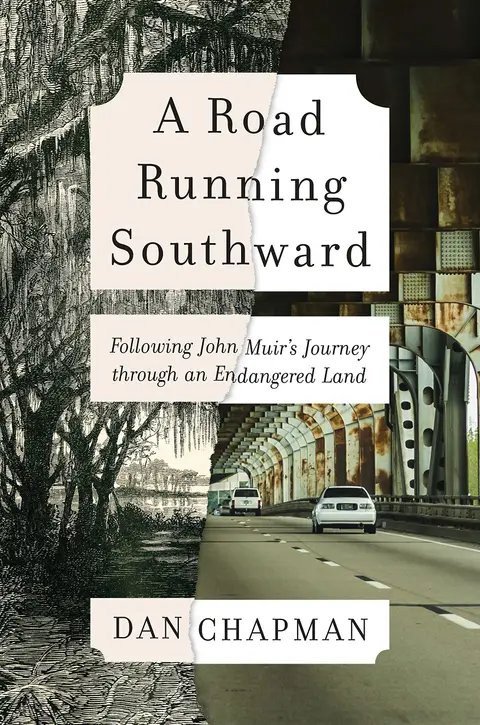 Cover of A Road Running Southward