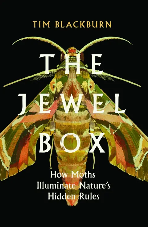 Cover of The Jewel Box