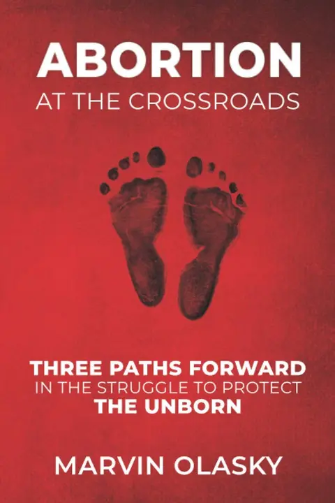 Cover of Abortion at the Crossroads