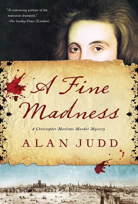 Cover of A Fine Madness