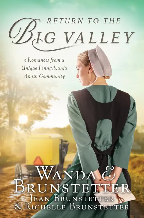 Cover of The Return to the Big Valley