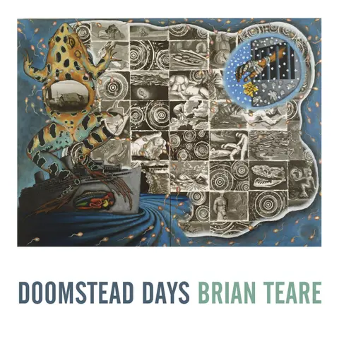 Cover of Doomstead Days