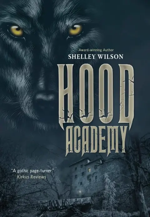 Cover of Hood Academy