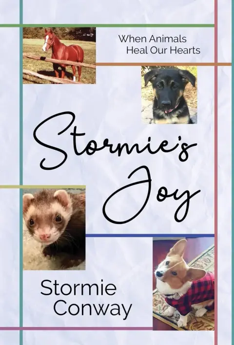 Cover of Stormie's Joy