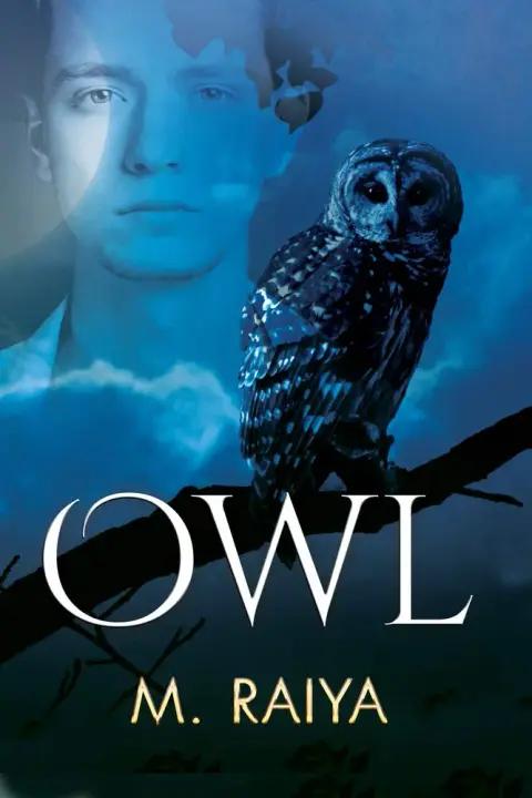 Cover of Owl