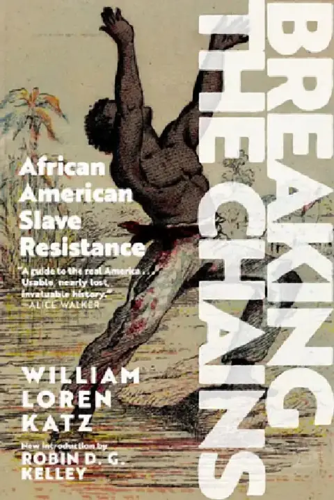 Cover of Breaking the Chains