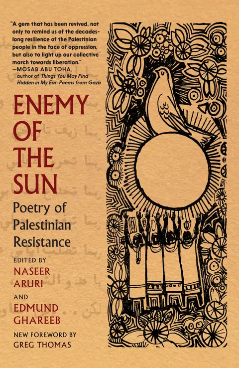 Cover of Enemy of the Sun