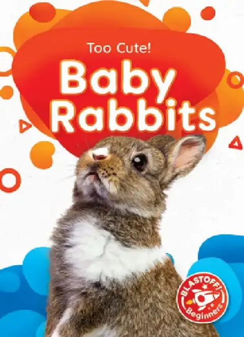 Cover of Baby Rabbits