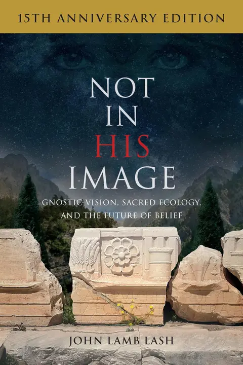Cover of Not in His Image