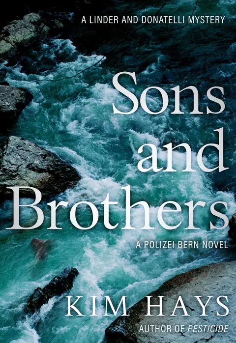 Cover of Sons & Brothers