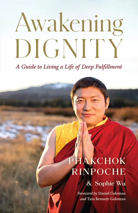 Cover of Awakening Dignity