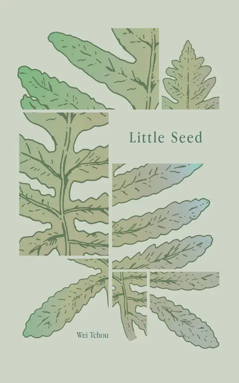 Cover of Little Seed