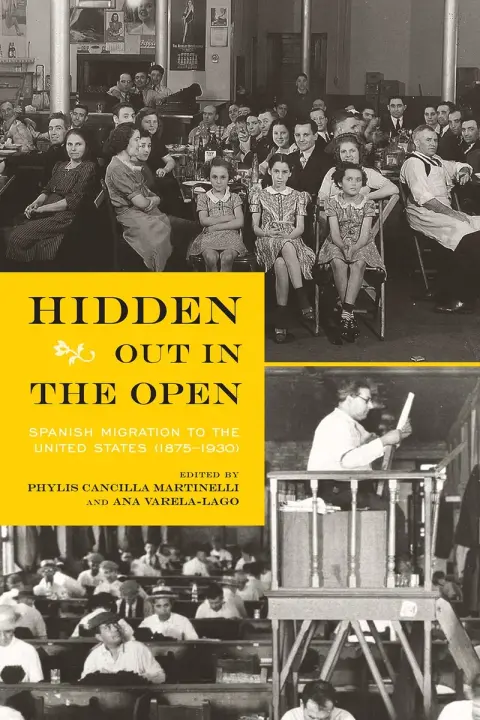 Cover of Hidden Out in the Open