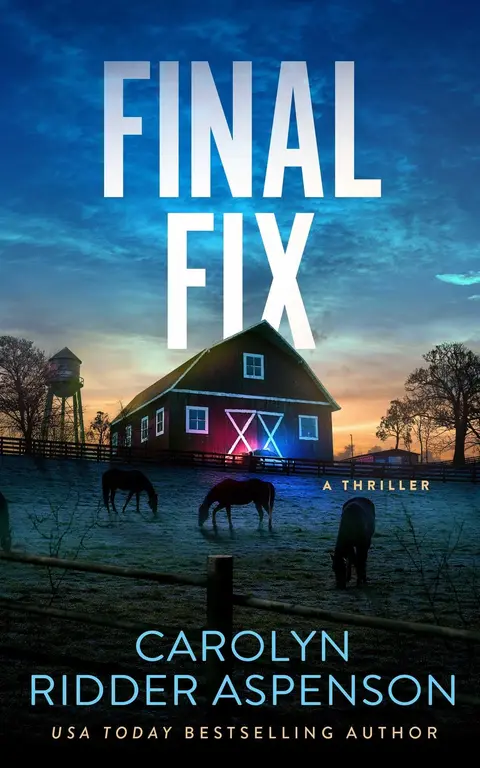 Cover of Final Fix