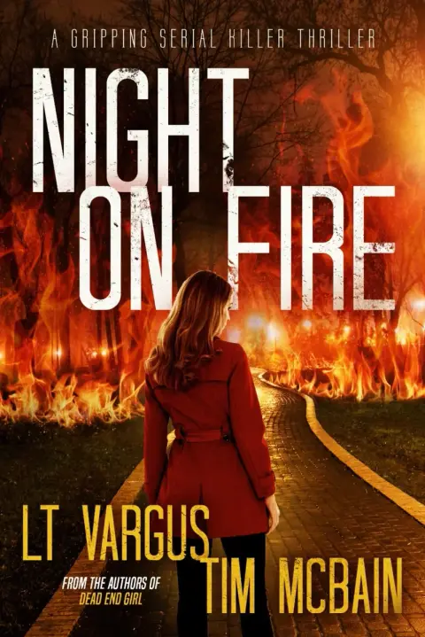 Cover of Night on Fire