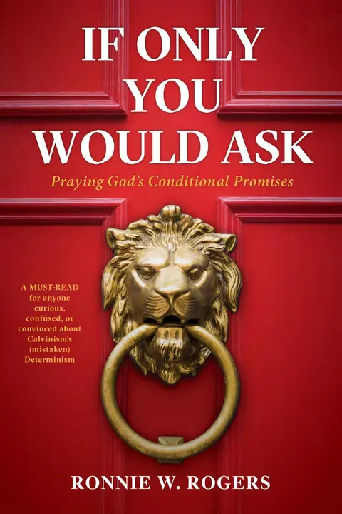 Cover of If Only You Would Ask