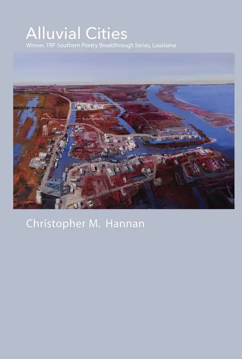 Cover of Alluvial Cities