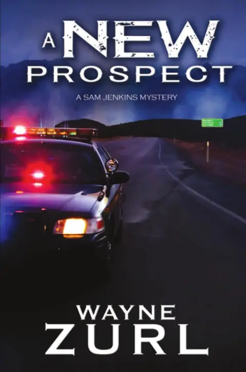 Cover of A New Prospect