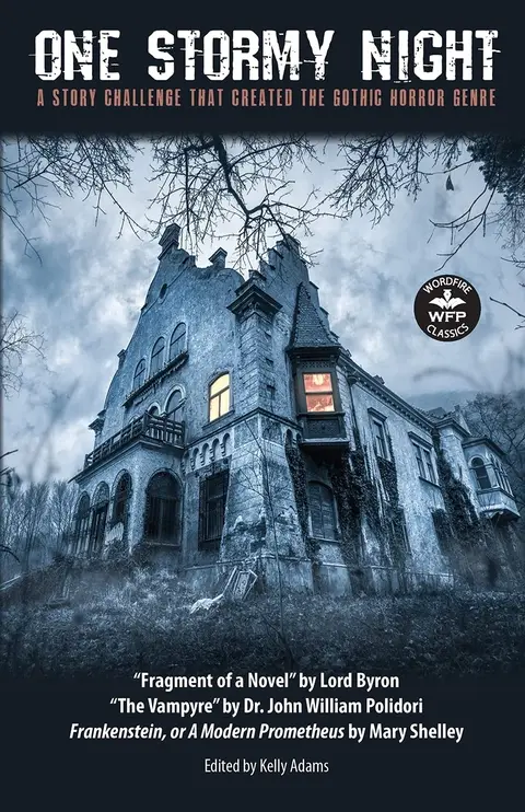Cover of One Stormy Night