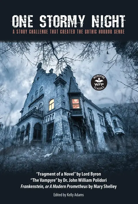 Cover of One Stormy Night
