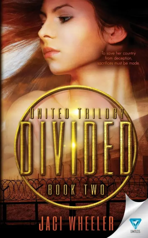 Cover of Divided