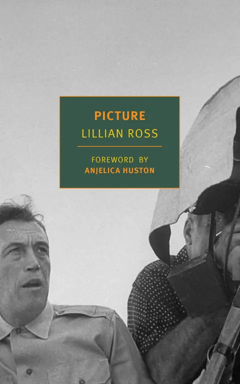 Cover of Picture