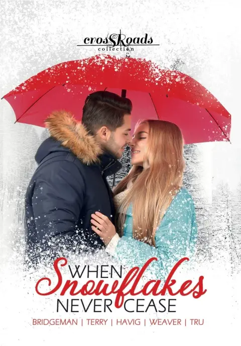 Cover of When Snowflakes Never Cease