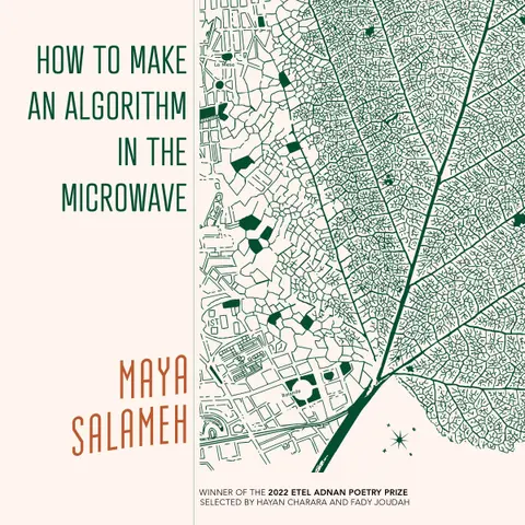 Cover of How to Make an Algorithm in the Microwave