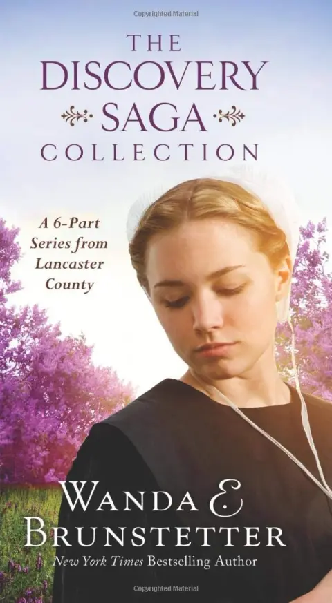 Cover of The Discovery Saga