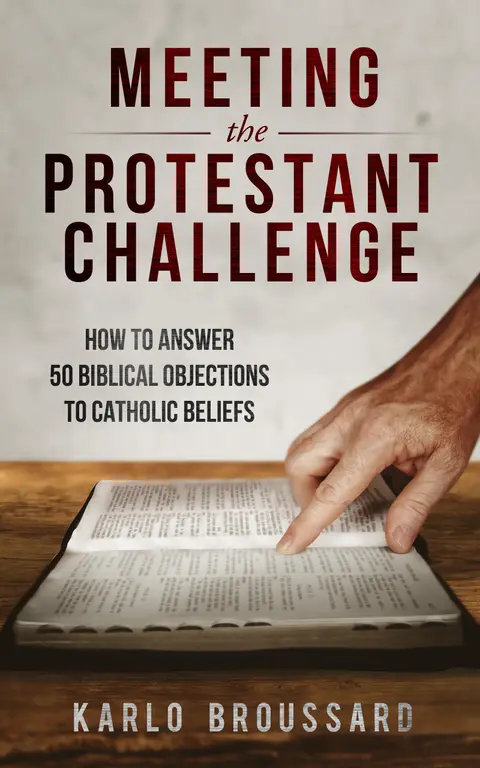 Cover of Meeting the Protestant Challenge