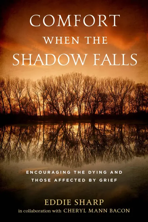 Cover of Comfort When the Shadow Falls