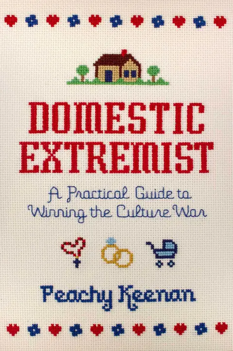 Cover of Domestic Extremist