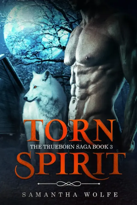Cover of Torn Spirit
