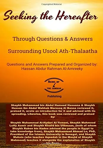 Cover of Seeking the Hereafter