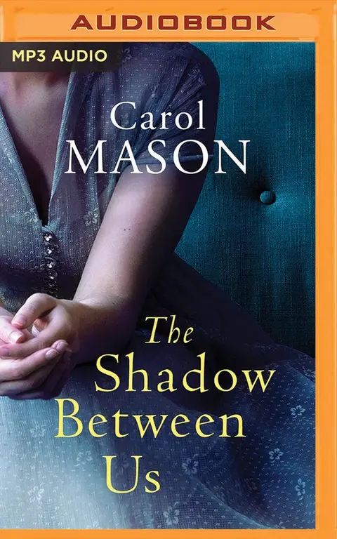 Cover of The Shadow Between Us